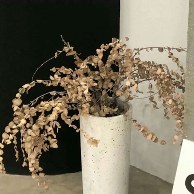 兽设海洋场景创作兽圈社群